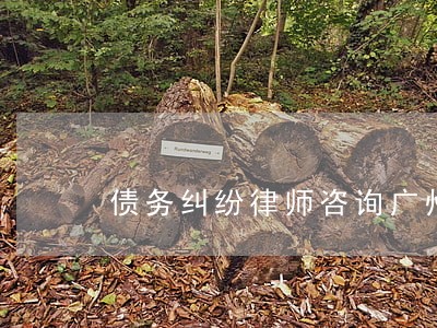 债务纠纷律师咨询广州 债务纠纷律师咨询广州