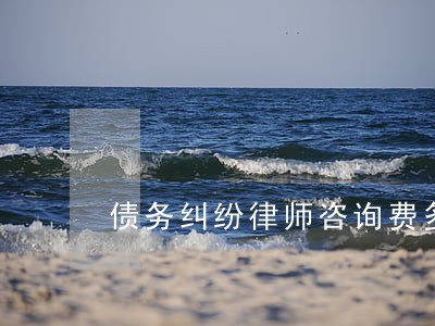 债务纠纷律师咨询费多少 债务纠纷律师咨询费多少