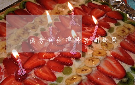 债务纠纷律师咨询费用 债务纠纷律师咨询费用
