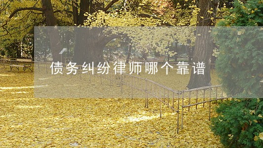债务纠纷律师哪个靠谱