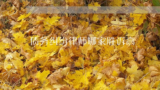 债务纠纷律师哪家胜诉高