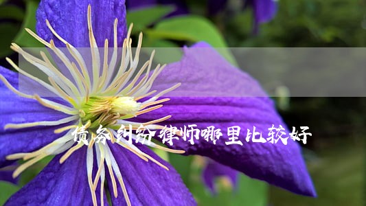 债务纠纷律师哪里比较好 债务纠纷律师哪里比较好
