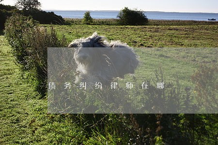 债务纠纷律师在哪 债务纠纷律师在哪