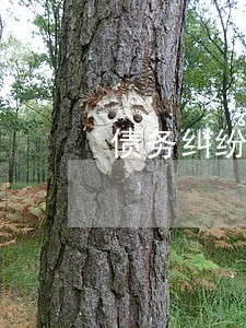 债务纠纷律师处理方法 债务纠纷律师处理方法
