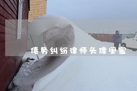 债务纠纷律师头像闺蜜 债务纠纷律师头像闺蜜