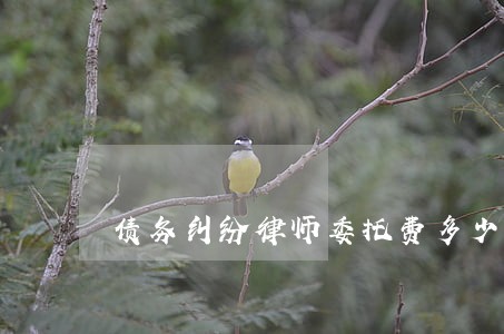 债务纠纷律师委托费多少 债务纠纷律师委托费多少