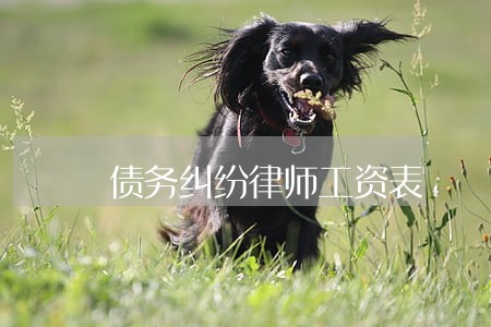 债务纠纷律师工资表 债务纠纷律师工资表