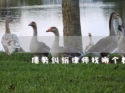债务纠纷律师找哪个好