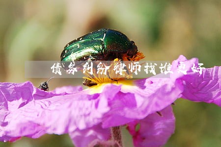 债务纠纷律师找谁更好 债务纠纷律师找谁更好