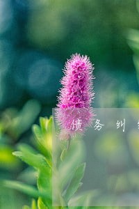 债务纠纷律师排名情况 债务纠纷律师排名情况