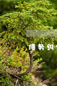 债务纠纷律师收费标准2021 债务纠纷律师收费标准2021