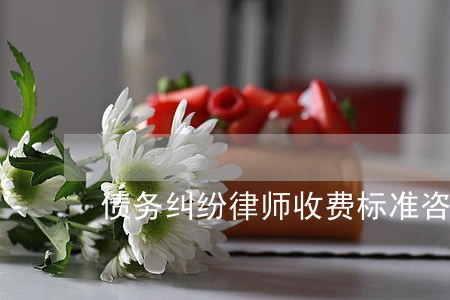 债务纠纷律师收费标准咨询电话 债务纠纷律师收费标准咨询电话