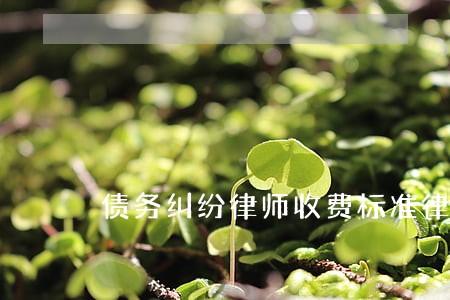 债务纠纷律师收费标准律师事务所 债务纠纷律师收费标准律师事务所