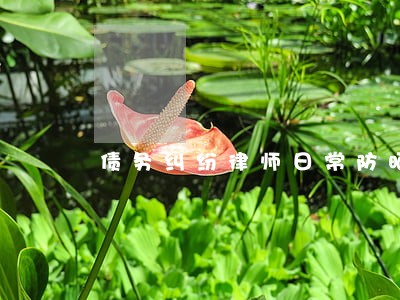 债务纠纷律师日常防晒 债务纠纷律师日常防晒