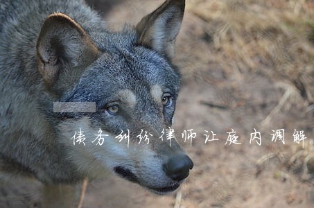 债务纠纷律师让庭内调解问题 债务纠纷律师让庭内调解问题