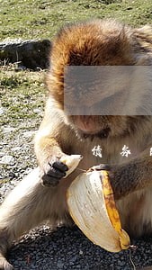 债务纠纷律师语音解答 债务纠纷律师语音解答
