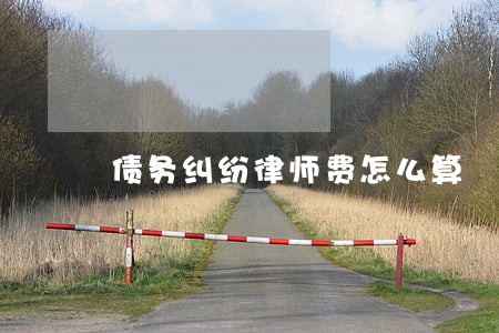债务纠纷律师费怎么算 债务纠纷律师费怎么算