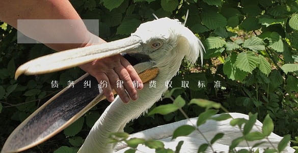 债务纠纷律师费收取标准 债务纠纷律师费收取标准