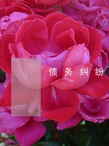 债务纠纷怎样和律师签协议 债务纠纷怎样和律师签协议