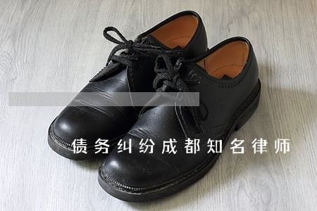 债务纠纷成都知名律师 债务纠纷成都知名律师