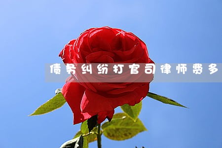 债务纠纷打官司律师费多少钱 债务纠纷打官司律师费多少钱