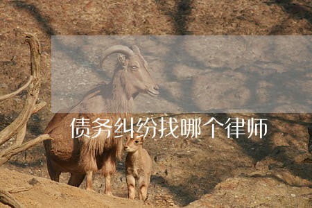 债务纠纷找哪个律师 债务纠纷找哪个律师