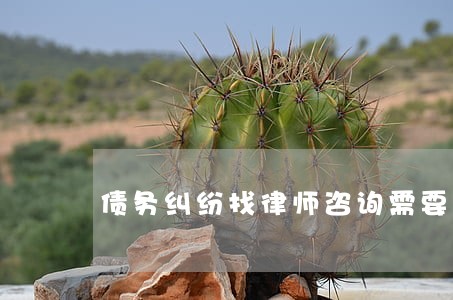 债务纠纷找律师咨询需要多少钱 债务纠纷找律师咨询需要多少钱