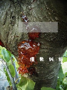 债务纠纷找律师起诉 债务纠纷找律师起诉