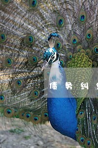 债务纠纷方面律师咨询 债务纠纷方面律师咨询