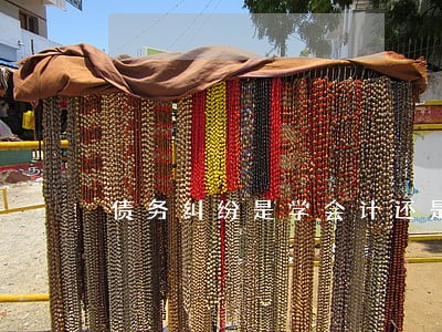 债务纠纷是学会计还是律师 债务纠纷是学会计还是律师