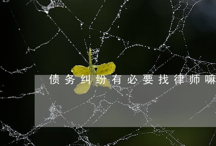 债务纠纷有必要找律师嘛 债务纠纷有必要找律师嘛
