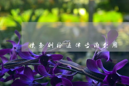 债务纠纷法律咨询费用 债务纠纷法律咨询费用