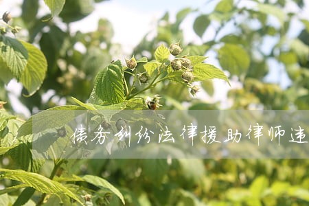 债务纠纷法律援助律师违约 债务纠纷法律援助律师违约