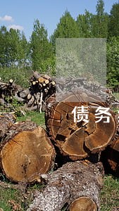 债务纠纷法律援助电话 债务纠纷法律援助电话