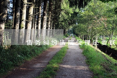 债务纠纷法院受理还要找律师吗 债务纠纷法院受理还要找律师吗