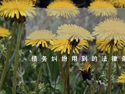 债务纠纷用到的法律条文