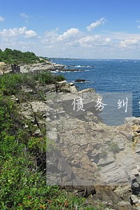 债务纠纷的律师函该如何回复