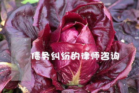 债务纠纷的律师咨询 债务纠纷的律师咨询
