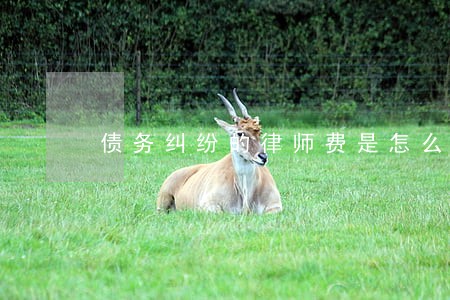 债务纠纷的律师费是怎么算的 债务纠纷的律师费是怎么算的