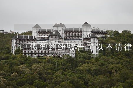 债务纠纷被告可以不请律师吗 债务纠纷被告可以不请律师吗