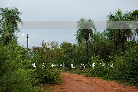 债务纠纷要找律师吗 债务纠纷要找律师吗