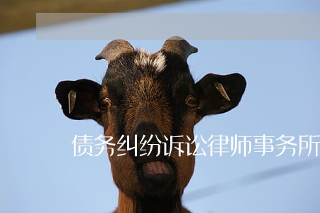 债务纠纷诉讼律师事务所 债务纠纷诉讼律师事务所