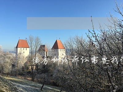 债务纠纷诉讼需要找律师吗 债务纠纷诉讼需要找律师吗