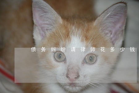 债务纠纷请律师花多少钱 债务纠纷请律师花多少钱