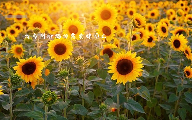 债务纠纷起诉需要律师么 债务纠纷起诉需要律师么