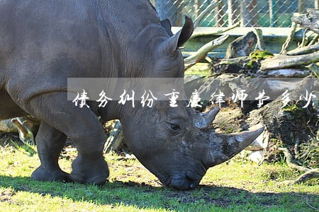 债务纠纷重庆律师费多少 债务纠纷重庆律师费多少
