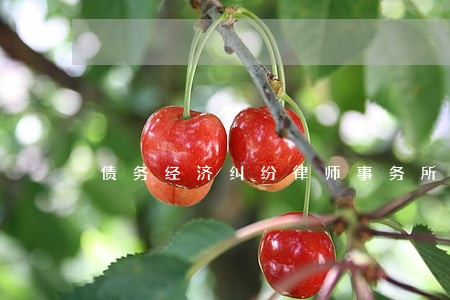 债务经济纠纷律师事务所股权 债务经济纠纷律师事务所股权