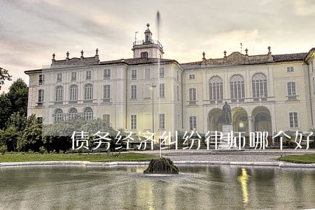 债务经济纠纷律师哪个好 债务经济纠纷律师哪个好