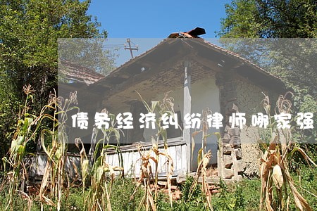 债务经济纠纷律师哪家强 债务经济纠纷律师哪家强