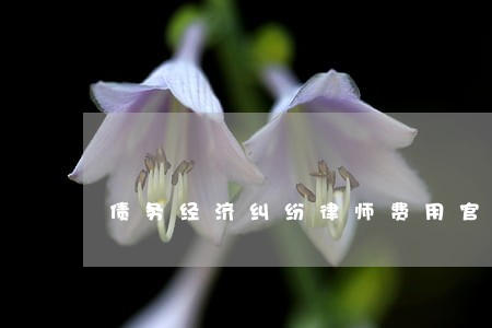 债务经济纠纷律师费用官司 债务经济纠纷律师费用官司